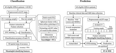 The Spontaneous Activity Pattern of the Middle Occipital Gyrus Predicts the Clinical Efficacy of Acupuncture Treatment for Migraine Without Aura